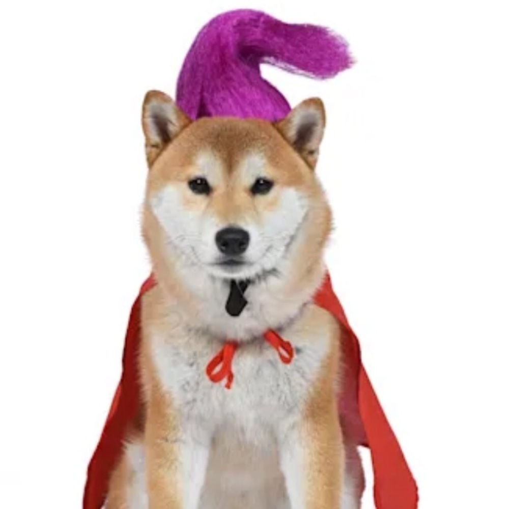 NWT Disney Mary Sanderson Dog Costume